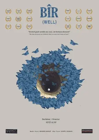 Bîr poster