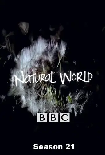 Natural World season 21 poster
