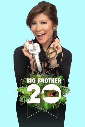Big Brother season 20 poster
