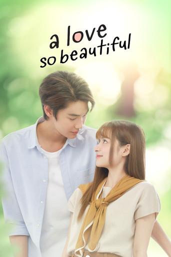 A Love So Beautiful / เพราะเธอคือรักแรก poster
