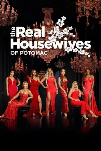 The Real Housewives of Potomac season 7 poster