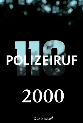 Polizeiruf 110 season 29 poster
