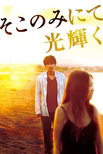The Light Shines Only There poster