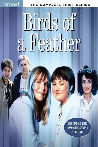 Birds of a Feather season 1 poster