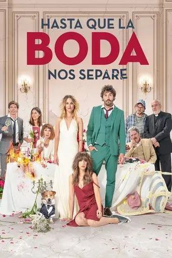 The Wedding Unplanner poster