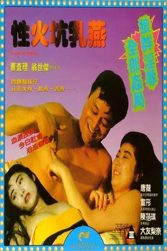 Maids of Passion poster