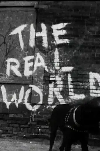 The Real World season 1 poster