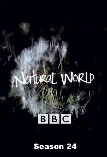 Natural World season 24 poster