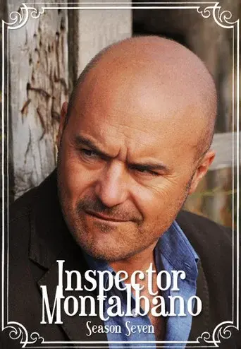 Inspector Montalbano season 7 poster