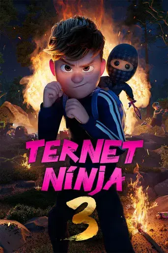 Checkered Ninja 3 poster