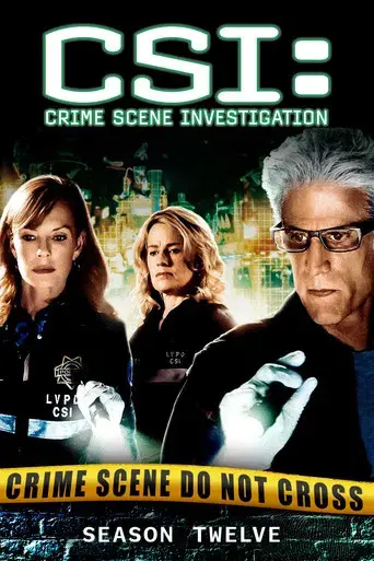 CSI: Crime Scene Investigation season 12 poster