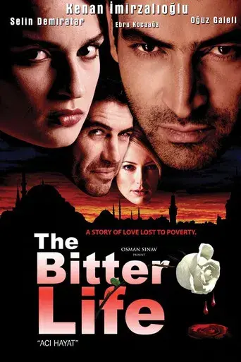 Aci hayat poster