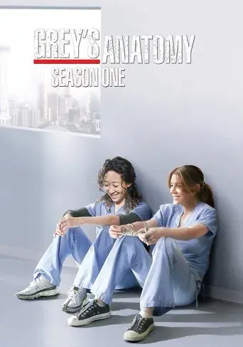 Grey's Anatomy season 1 poster