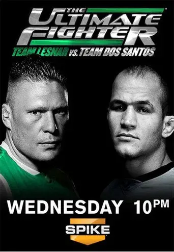 The Ultimate Fighter season 13 poster