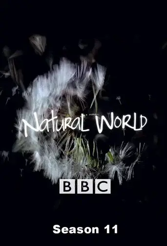 Natural World season 11 poster