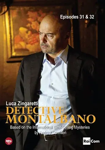 Inspector Montalbano season 12 poster