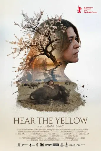 Günyüzü poster