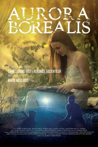 Aurora Borealis: Northern Light poster