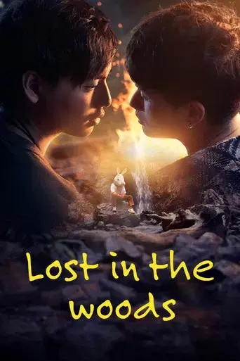 Lost in the Woods / ฤดูหลงป่า poster