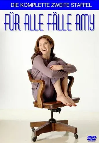 Judging Amy season 2 poster
