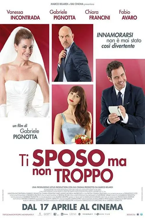 Ti sposo ma non troppo poster