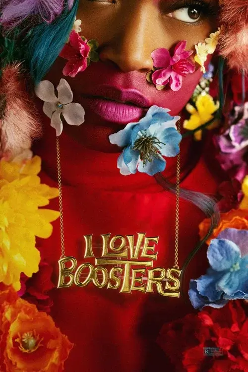 I Love Boosters poster