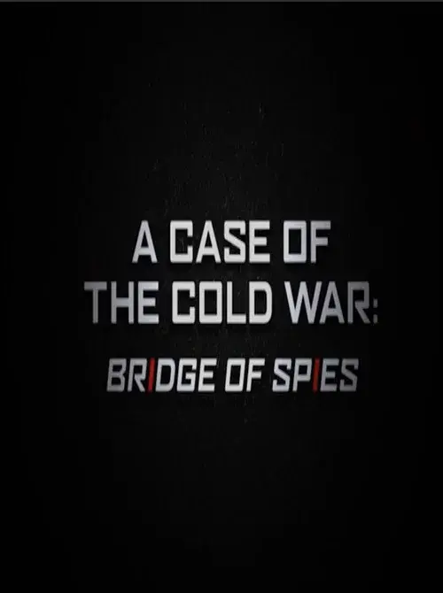 A Case of the Cold War: Bridge of Spies poster