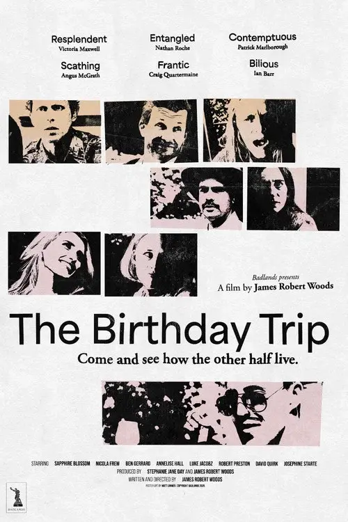 The Birthday Trip poster