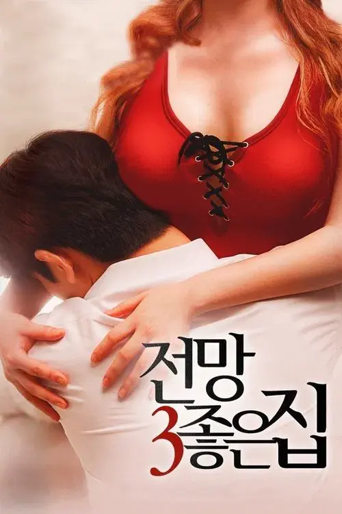 House with a Good View 3 poster