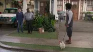 Welcome to the Rooster still