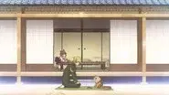 A Feline House still