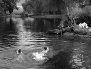 The Bewitchin' Pool still
