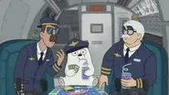 Baby Bears on a Plane still