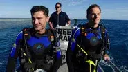 Great Barrier Reef still