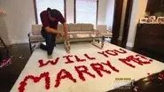 The Proposal still