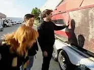Birds in a Truck still