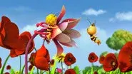 Maya’s Garden still