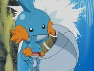 A Mudkip Mission still