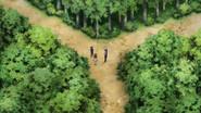 Their Own Paths still