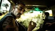 Kings of Cannabis & Into the Darkness still