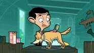 Bean The Pet Groomer still