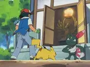 Pop Goes the Sneasel still