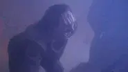Waltz still