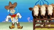 Rodeo Daze still