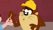 Taz Recycle still