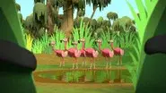 Octonauts and the Flamingos still