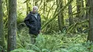 If a Deer Sh*ts in the Woods still