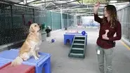 Next Level Training still