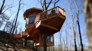 Super Spy Treehouse still