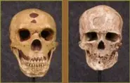 Neanderthals on Trial still